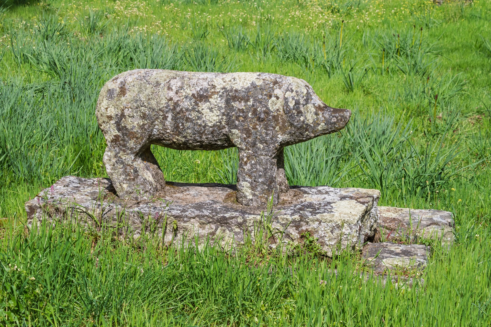 Pig statue carved from granite stone in a children's playground